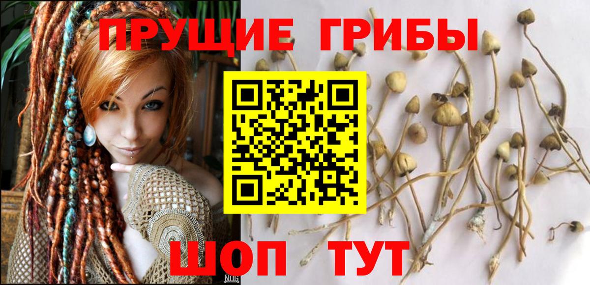 Галлюциногенные грибы мицелий Малгобек